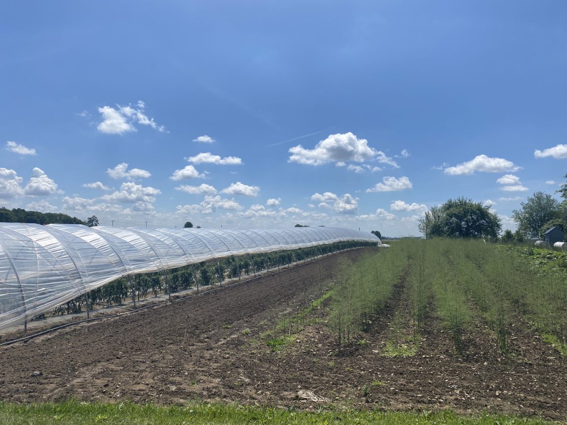 A Farm in Huron County