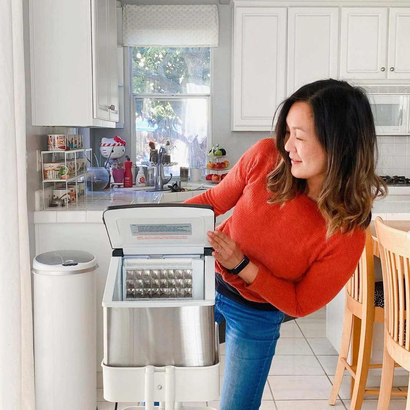 6 Awesome Portable Ice Makers Available in Canada